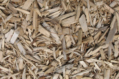 biomass boilers Redscarhead
